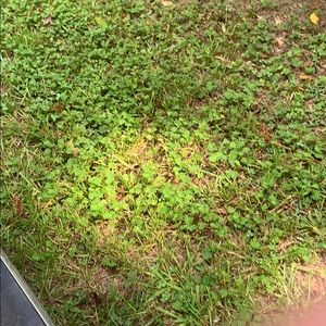 Meet your Posher, Paige